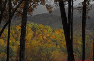 Last Rays of Sunset on Black Mountains