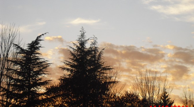 Winter Beauty: Sculptures All Around