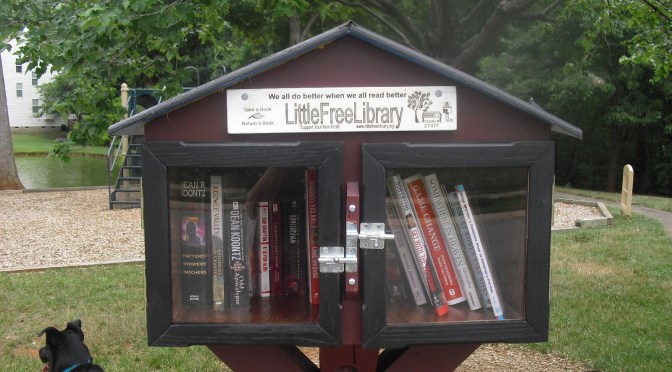 Little Free Libraries: One Book and One Community at a Time