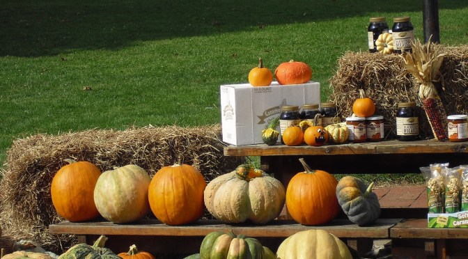 Pumpkins Everywhere in Oatmeal, Smoothies, and …?