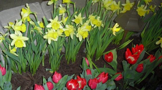 Changing Carpets From Winter to Spring