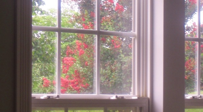 Reflections on Loss of Loved Ones